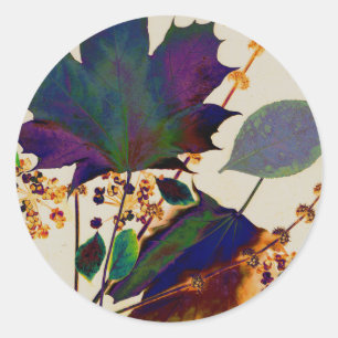 Sticker Rond Autumn Leaves