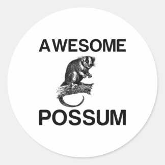 STICKER ROND AWESOME POSSUM