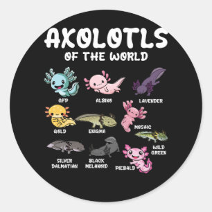 Sticker Rond Axolotls Du Monde Cute Kawaii Axolotl Lover Oc