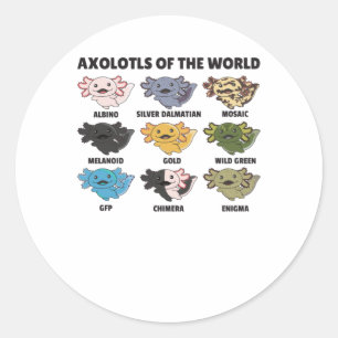 Sticker Rond Axolotls Du Monde Sweet Animaux Axolotl