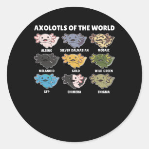 Sticker Rond Axolotls Du Monde Sweet Animaux Axolotl