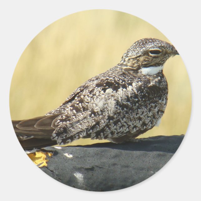 Sticker Rond B29 Engoulevent commun (Devant)