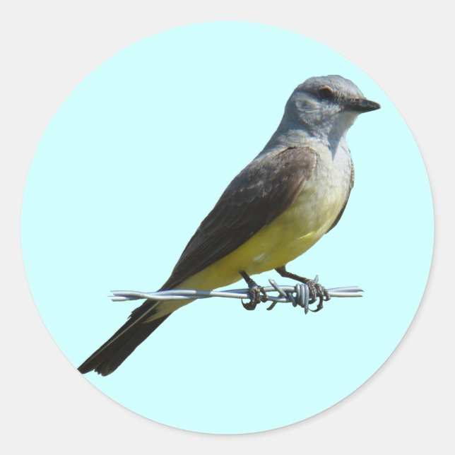 Sticker Rond B45 Kingbird occidental (Devant)