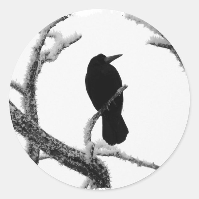 Sticker Rond B&W Winter Raven Edgar Allan Poe (Devant)