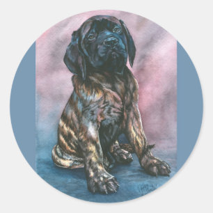Sticker Rond Baby Brindle Mastiff