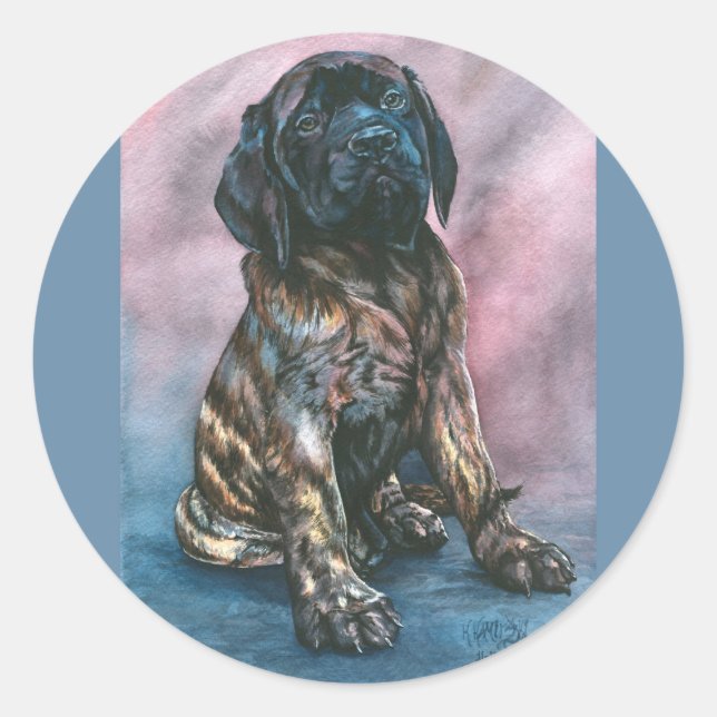 Sticker Rond Baby Brindle Mastiff (Devant)