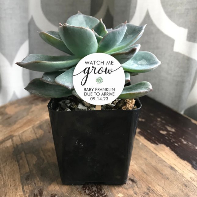 Sticker Rond Baby shower personnalisé Succulent Faveur (Créateur téléchargé)