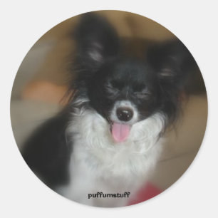 Sticker Rond Baby sucre