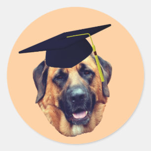 Sticker Rond Bac de graduation pour chien Mastiff américain