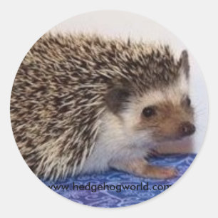 Sticker Rond Baguette bébé mignonne