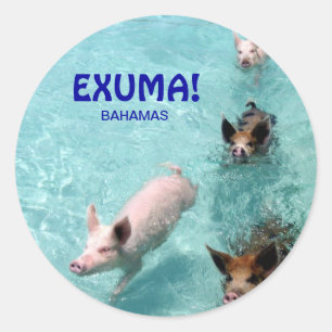 Sticker Rond Baguette de cochons d'eau salée