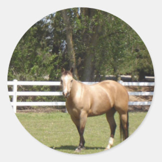 Sticker Rond Baguettes de cheval