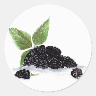 Sticker Rond Baies d'aquarelle aux fruits de Blackberry aliment