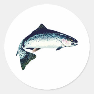 Sticker Rond Baignade en acier