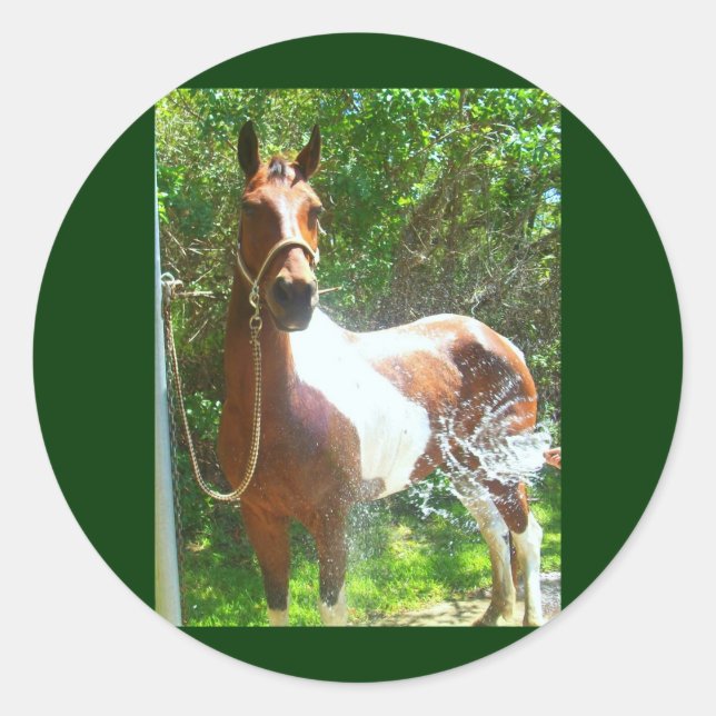 Sticker Rond Bain de peinture (Devant)