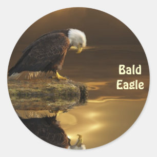 Sticker Rond Bald Eagle GRATITUDE de la faune