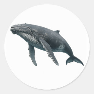 Sticker Rond Baleine à bosse