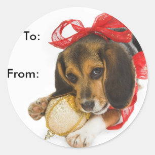 Sticker Rond Balises cadeau beagle Puppy
