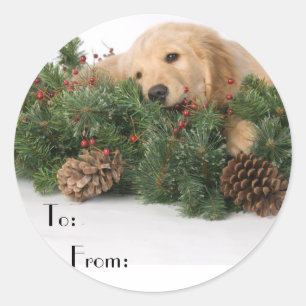 Sticker Rond Balises cadeaux de chien de Noël