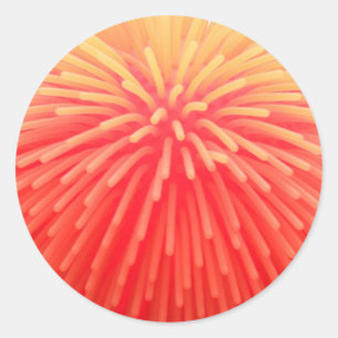 Sticker Rond Balle squishy Abstrait rouge orange brillant