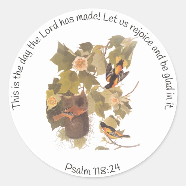 Sticker Rond Baltimore Oiseaux d'Audubon à l'oriole dans le peu (Devant)