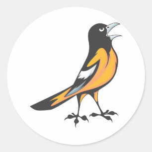 Sticker Rond Baltimore Oriole Bird