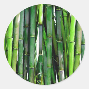 STICKER ROND BAMBOU