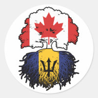 Barbade Barbadien Canadian Canada Tree Roots Drape