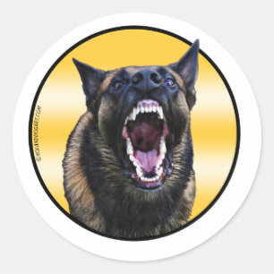 Sticker Rond Barking Belge Malinois "Maligator"
