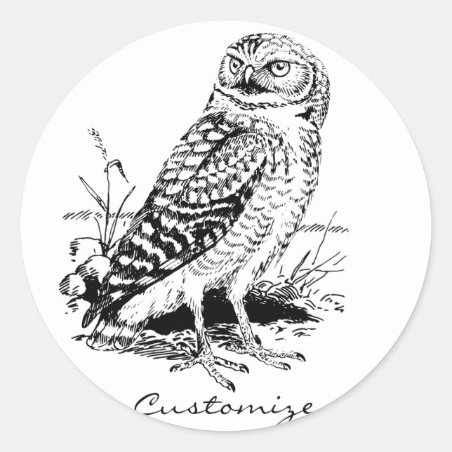 Sticker Rond Barne Owl Thunder_Cove (Devant)