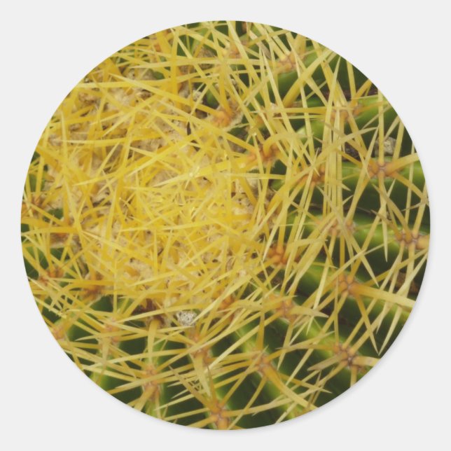Sticker Rond Barrel Cactus Closeup Abstrait Nature Photographie (Devant)
