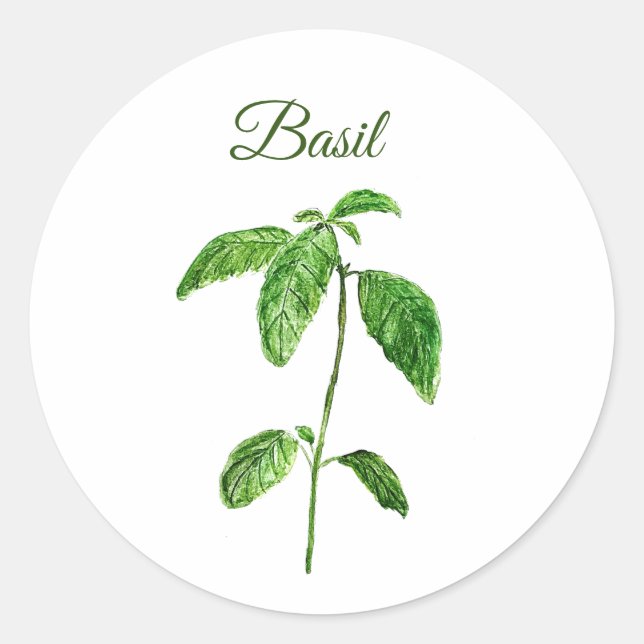 Sticker Rond Basil Herbes Aquarelle Cuisine Vert Rustique (Devant)