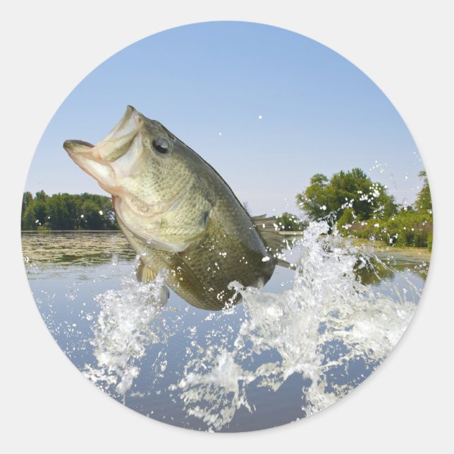 Sticker Rond Bass Jump 2013 (Devant)