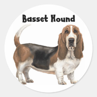 Sticker Rond Basset Hound