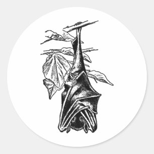 Sticker Rond Bat couché à pendre - Version noire