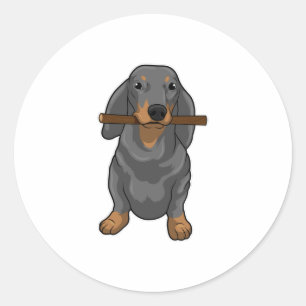 Sticker Rond Bâton Dachshund