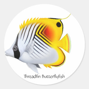 Sticker Rond Bâton personnalisable de poissons de papillon
