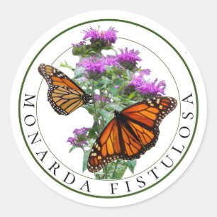 Sticker Rond Baume d'abeilles et papillons monarques