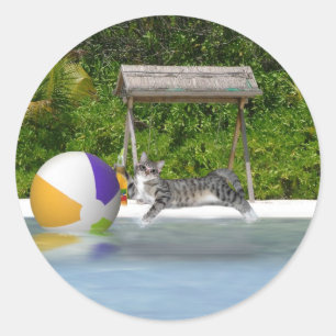Sticker Rond Beach Ball Kitty