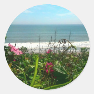 Sticker Rond Beach Plum Beach Bum