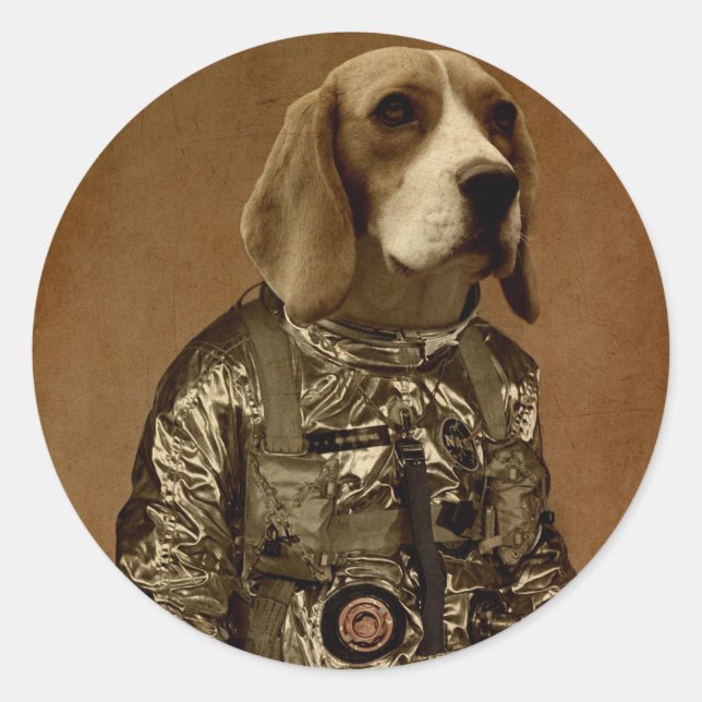 Sticker Rond Beagle (Devant)