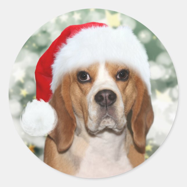 Sticker Rond Beagle en chapeau de Noël (Devant)