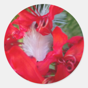 Sticker Rond Beau Alien Crimson.jpg