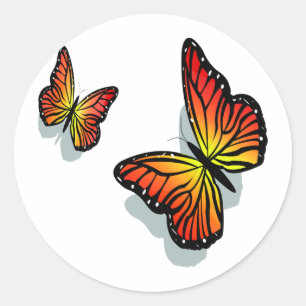 Sticker Rond Beau papillon