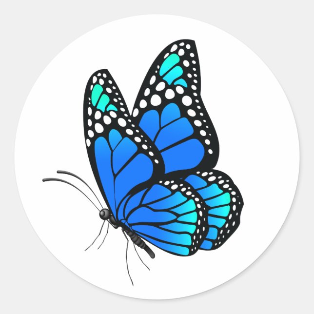 Sticker Rond Beau papillon illustré (Devant)