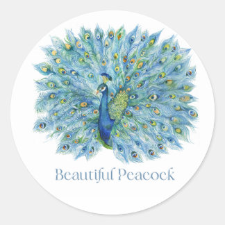 Sticker Rond Beau Peacock