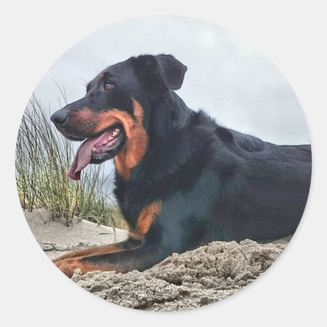 Sticker Rond Beauceron (Devant)
