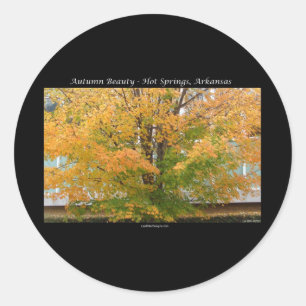 Sticker Rond Beauté d'automne sources chaudes, Arkansas Vêtemen