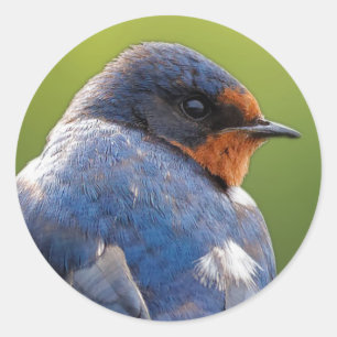 Sticker Rond Beautiful