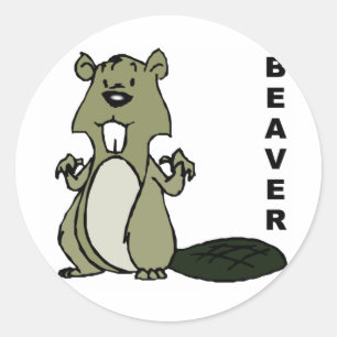 Sticker Rond Beaver
